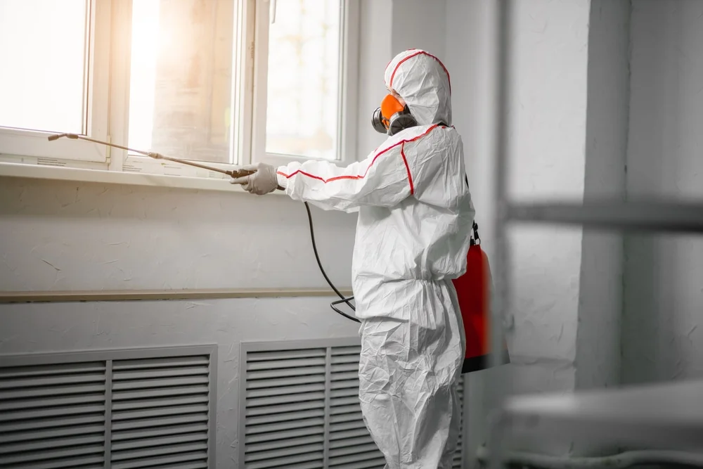 Professional mold remediation services in Westlake, OR
